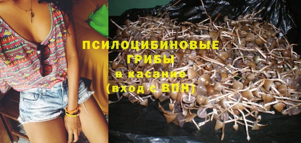 метадон Каменск-Шахтинский
