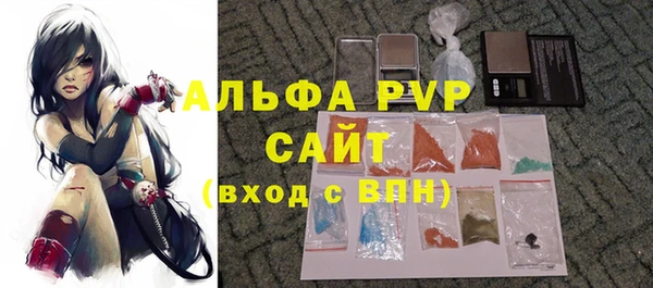 соль ск Каменногорск