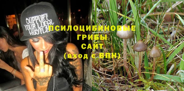 соль ск Каменногорск
