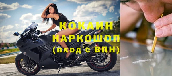 скорость Каменка
