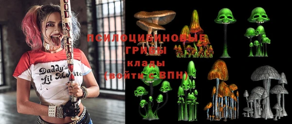 скорость Каменка