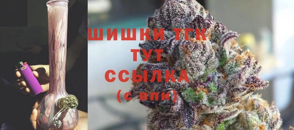 скорость Каменка