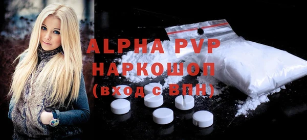 скорость Каменка