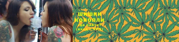 скорость Каменка
